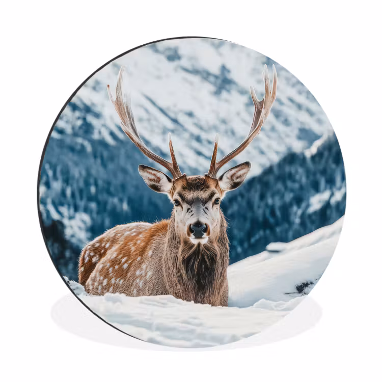 Hert - Landschap - Winter - Natuur - Dieren - Bergen Wandcirkel aluminium klein -3d