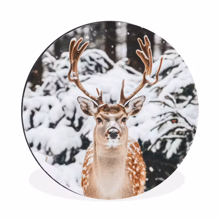 Hert - Sneeuw - Winter - Bos - Dieren Wandcirkel aluminium klein -3d