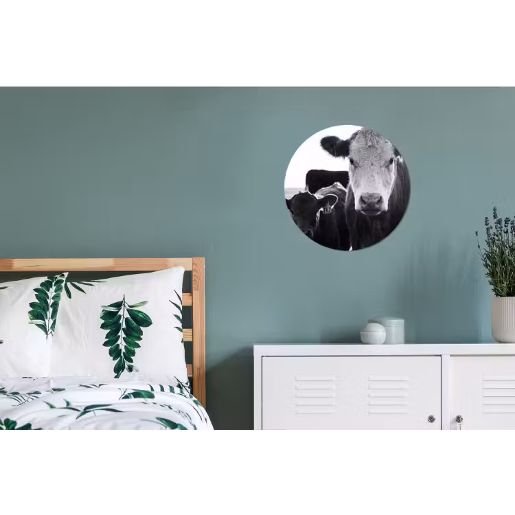 Koeien - Zwart - Wit Wandcirkel aluminium klein -slaapkamer