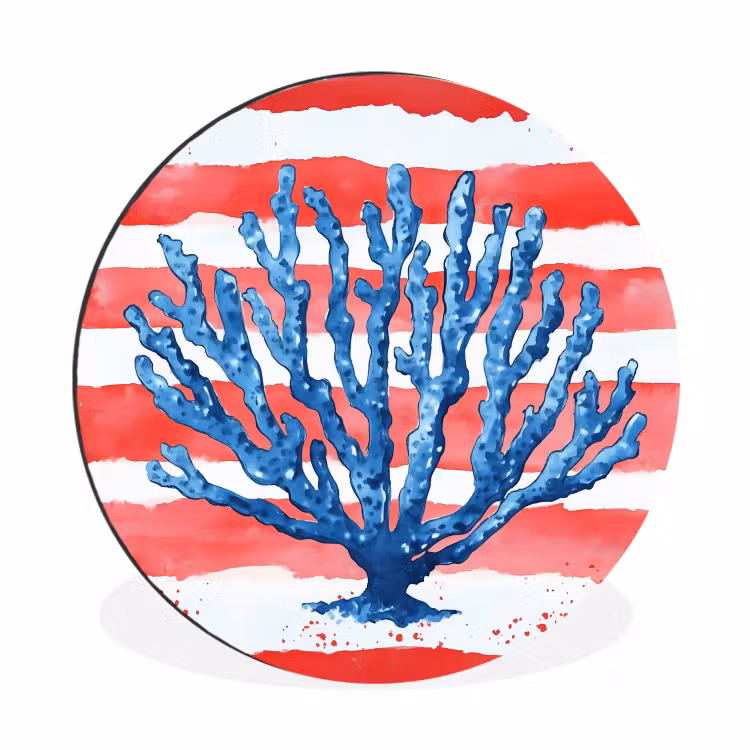 Koraal - Verfstructuur - Rood - Blauw Wandcirkel aluminium klein -3d