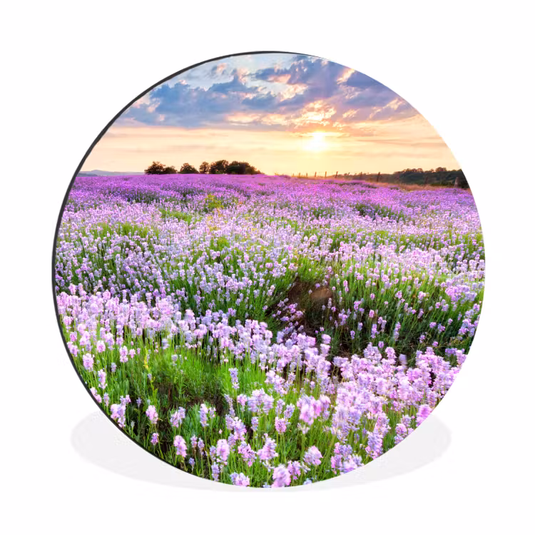 Lavendel - Bloemen - Zonsondergang - Paars - Weide Wandcirkel aluminium klein -3d