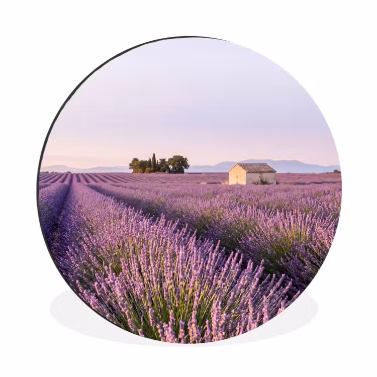 Lavendel - Landschap - Sereen - Paars Wandcirkel aluminium klein -3d
