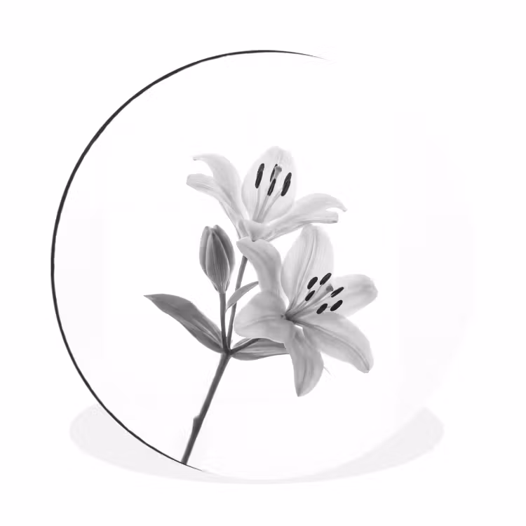 Lelies - Elegant - Zwart - Wit Wandcirkel aluminium klein -3d