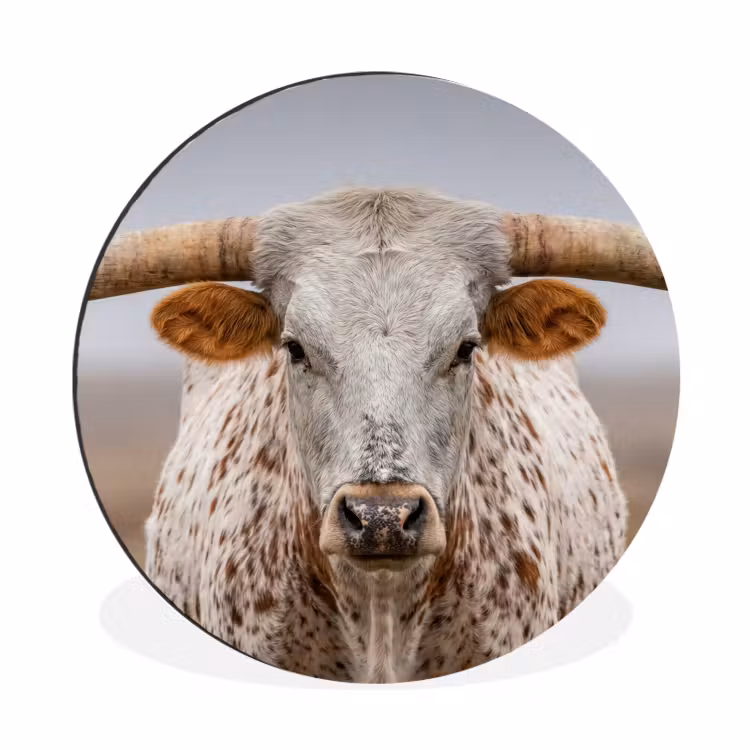 Longhorn - Grasveld - Dier Wandcirkel aluminium klein -3d