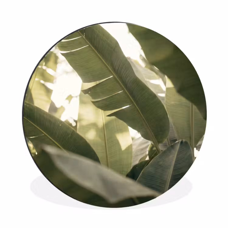 Natuur - Bladeren - Groen - Tropisch - Detail Wandcirkel aluminium klein -3d