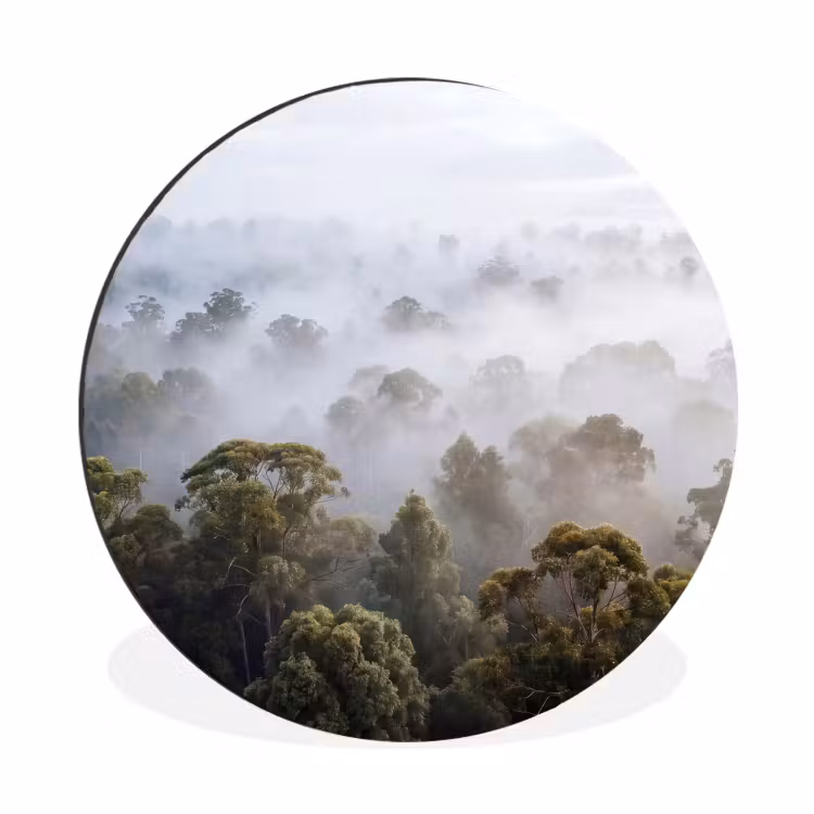 Natuur - Mist - Bos - Ochtend - Goud Wandcirkel aluminium klein -3d