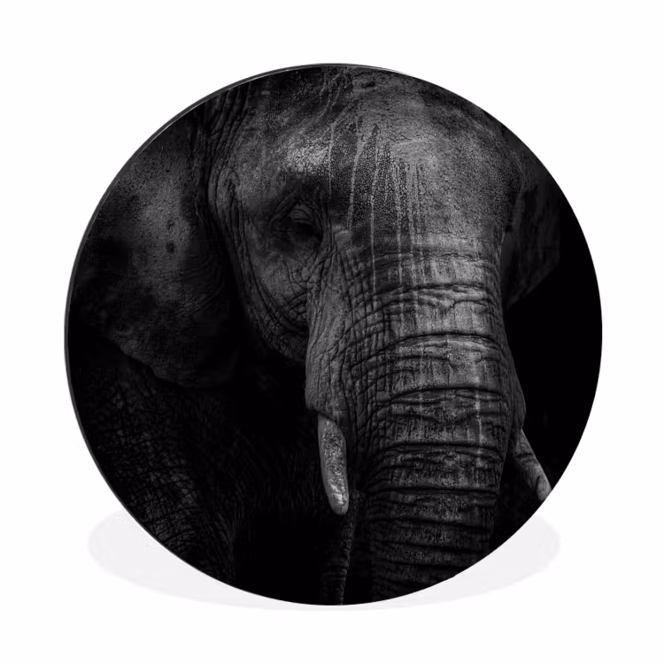 Olifant - Dier - Portret Wandcirkel aluminium klein -3d