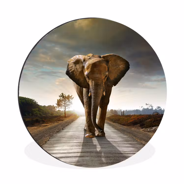 Olifant - Weg - Dieren - Zonsondergang - Landschap Wandcirkel aluminium klein -3d