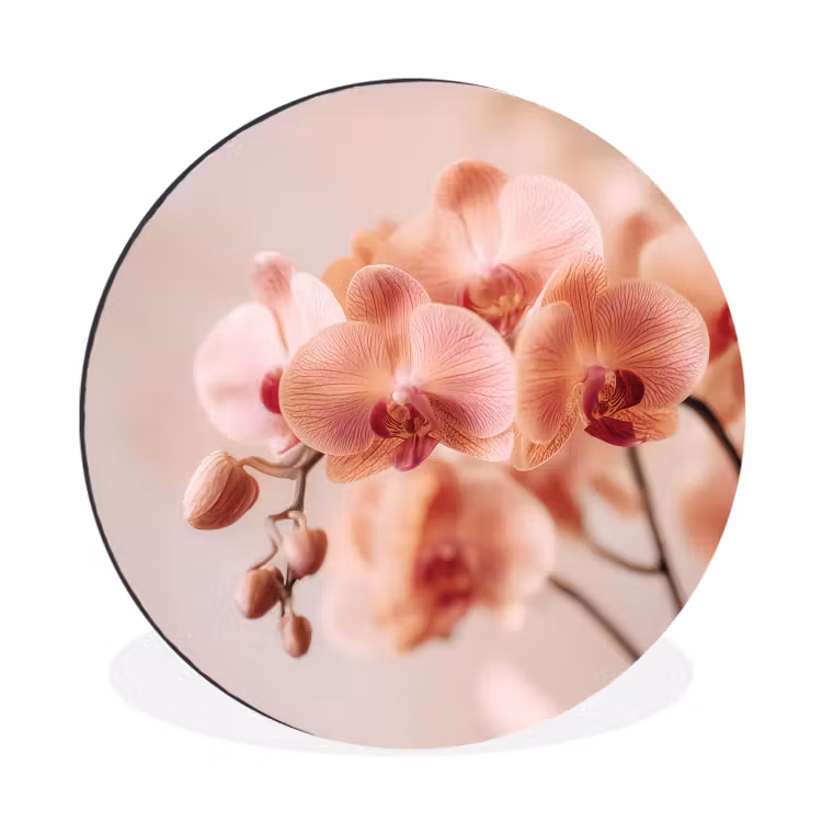 Orchidee - Bloemen - Roze - Bloemblaadjes Wandcirkel aluminium klein -3d