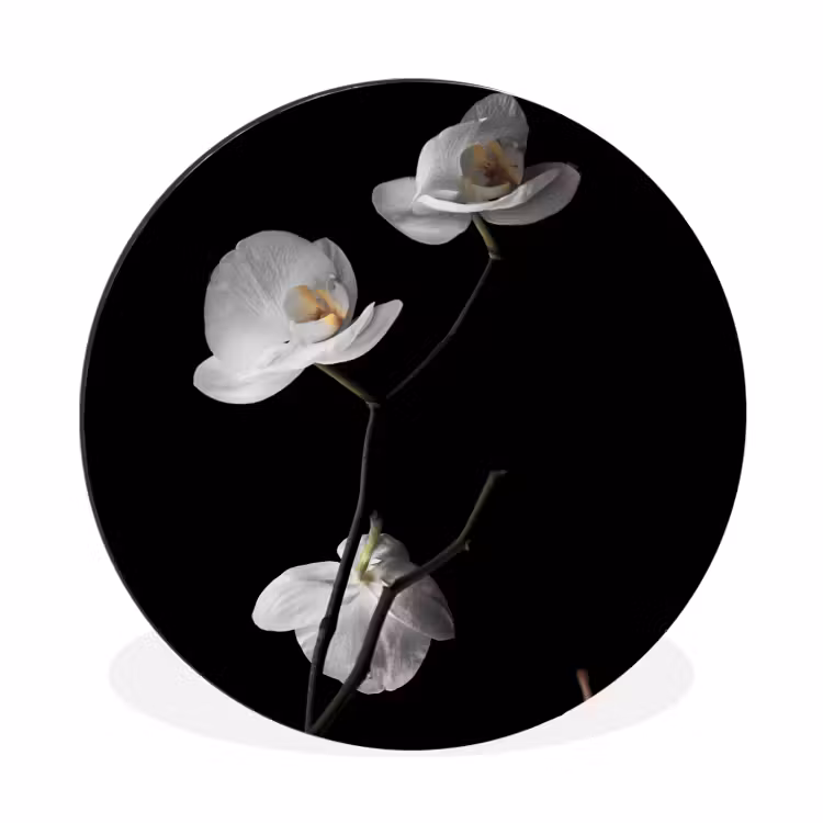 Orchidee - Bloemen - Zwart - Wit - Stilleven Wandcirkel aluminium klein -3d