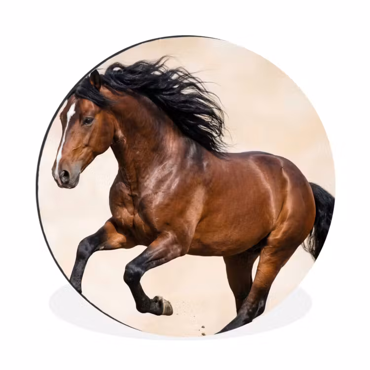 Paard - Galop - Energie Wandcirkel aluminium klein -3d