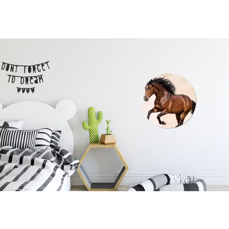 Paard - Galop - Energie Wandcirkel aluminium klein -kinderkamer