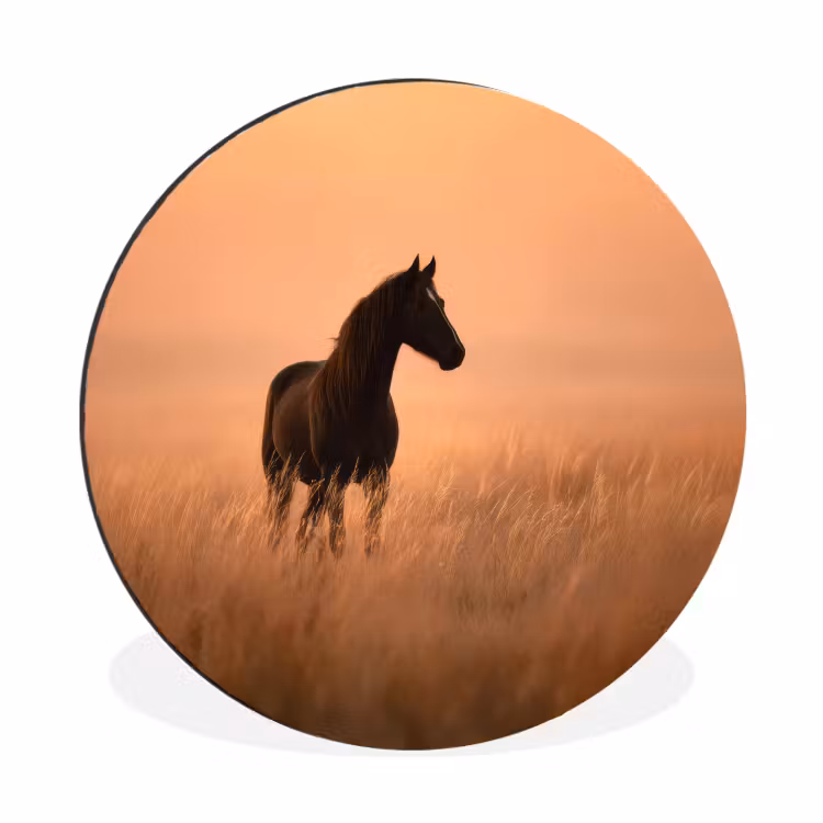 Paard - Grasveld - Zonsondergang Wandcirkel aluminium klein -3d