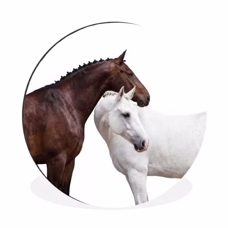 Paard - Modern - Balans Wandcirkel aluminium klein -3d