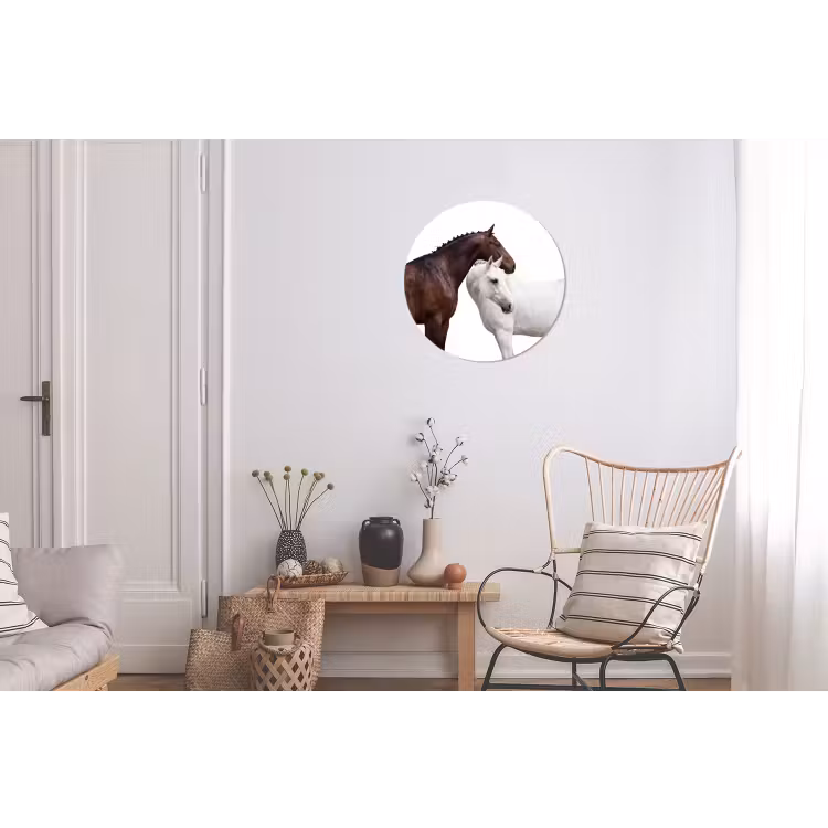 Paard - Modern - Balans Wandcirkel aluminium klein -woonkamer