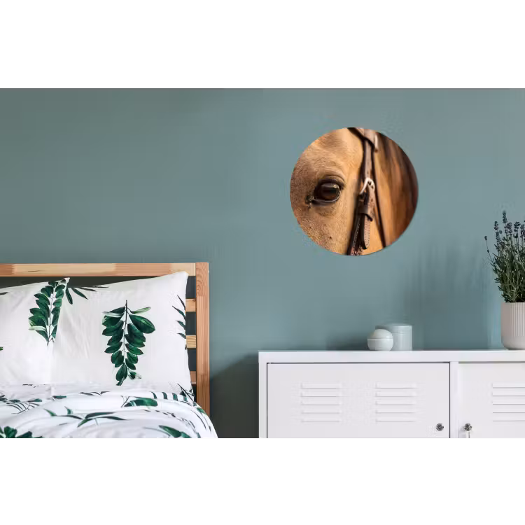 Paard - Oog - Bruin Wandcirkel aluminium klein -slaapkamer