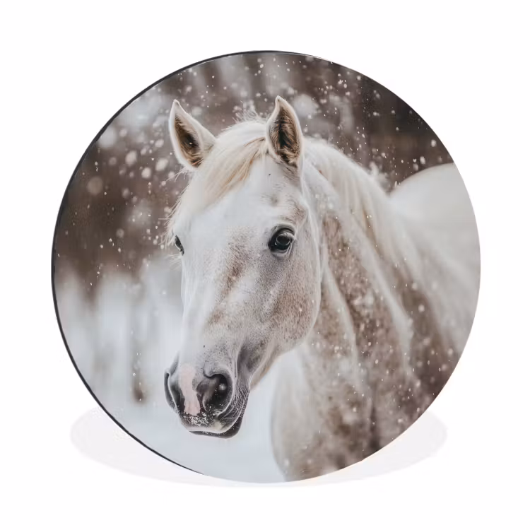 Paard - Wit - Winter - Natuur - Sneeuw - Dieren Wandcirkel aluminium klein -3d