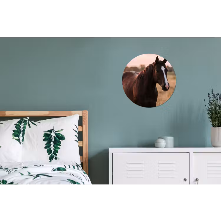 Paard - Zonsondergang - Bruin Wandcirkel aluminium klein -slaapkamer