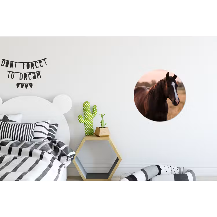 Paard - Zonsondergang - Bruin Wandcirkel aluminium klein -kinderkamer