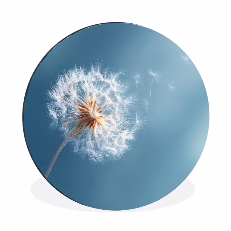 Paardenbloem - Wind - Blauw Wandcirkel aluminium klein -3d