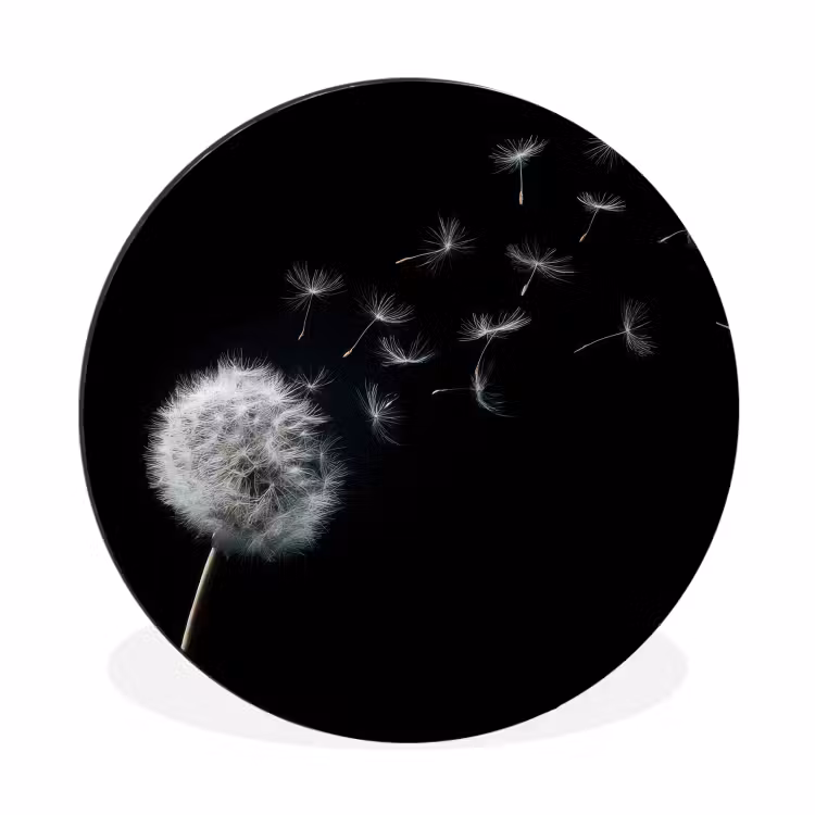 Paardenbloem - Zwart - Natuur Wandcirkel aluminium klein -3d
