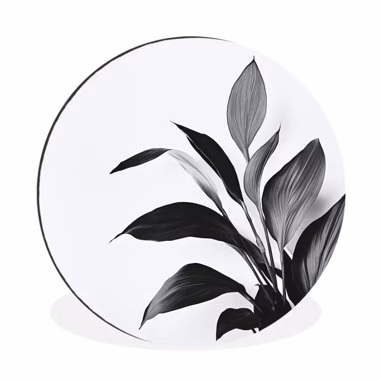 Plant - Bladeren - Minimalistisch - Zwart Wandcirkel aluminium klein -3d