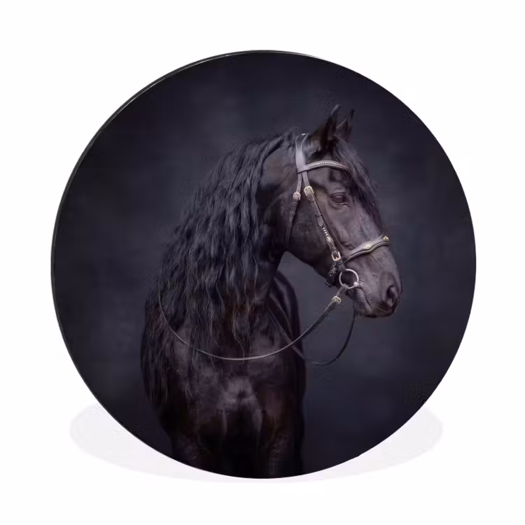 Portret - Paard - Donker Wandcirkel aluminium klein -3d