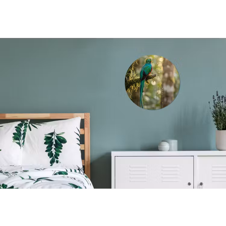 Quetzal - Jungle - Natuur - Groen Wandcirkel aluminium klein -slaapkamer