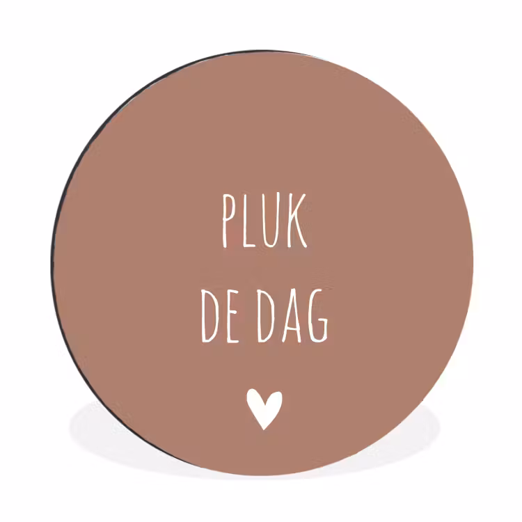 Quotes - Carpe diem - Pluk de dag - Spreuken Wandcirkel aluminium klein -3d