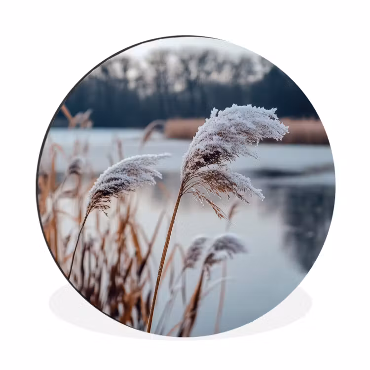 Riet - Gras - Natuur - Winter - Meer Wandcirkel aluminium klein -3d