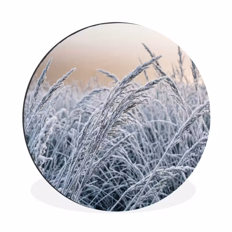 Rijp - Gras - Kristallen - Winter - Minimalistisch Wandcirkel aluminium klein -3d