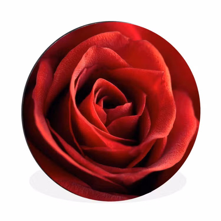 Rood - Roos - Romantisch Wandcirkel aluminium klein -3d