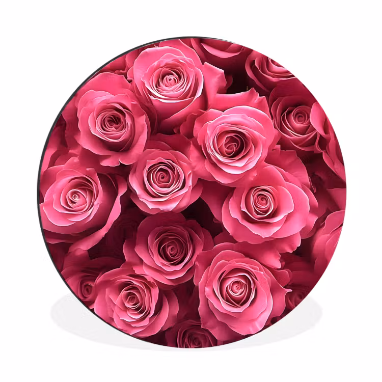 Rozen - Pink - Bloem Wandcirkel aluminium klein -3d