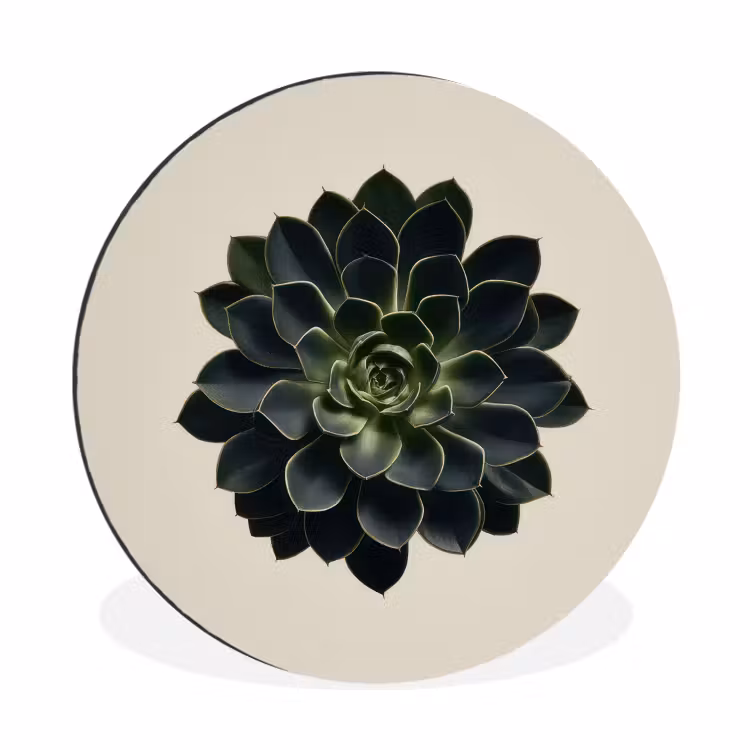 Rozet - Cirkelvormig - Donkergroen Wandcirkel aluminium klein -3d