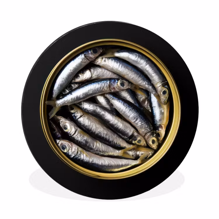 Sardines - Vissen - Rond - Zwart Wandcirkel aluminium klein -3d