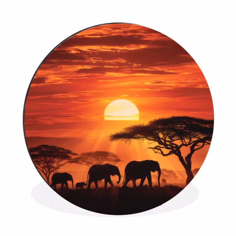 Savanne - Olifanten - Zonsondergang Wandcirkel aluminium klein -3d