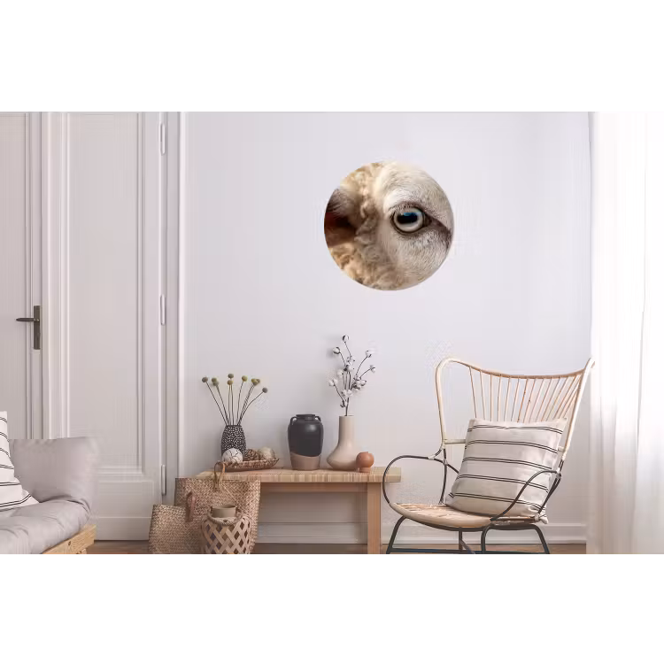 Schaap - Oog - Wit Wandcirkel aluminium klein -woonkamer