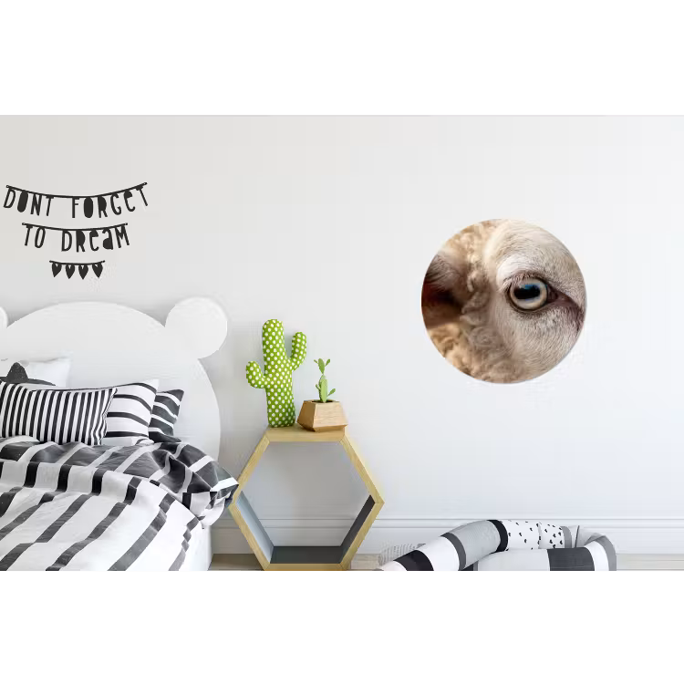 Schaap - Oog - Wit Wandcirkel aluminium klein -kinderkamer