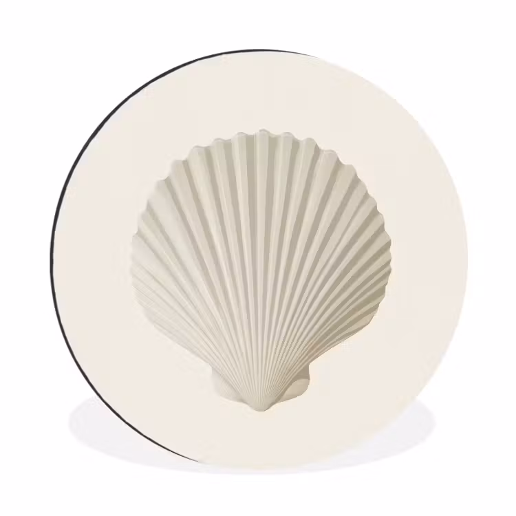 Schelp - Minimalistisch - Wit Wandcirkel aluminium klein -3d