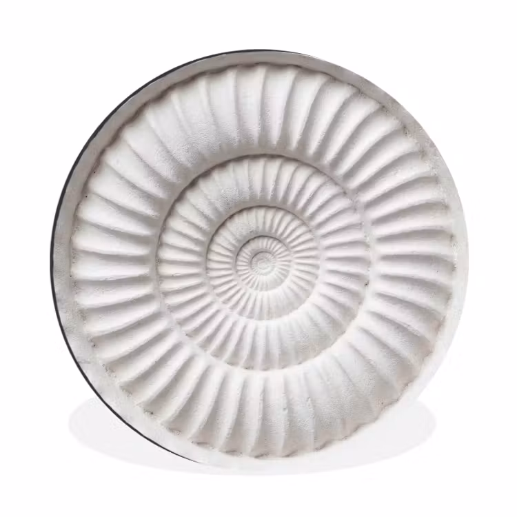 Schelp - Spiraal - Wit Wandcirkel aluminium klein -3d