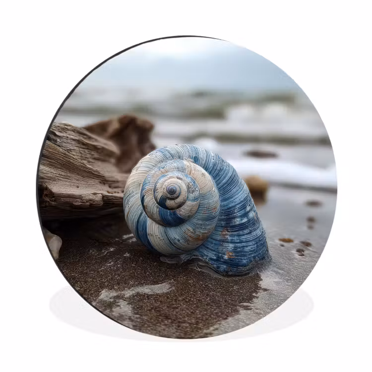 Schelp - Strand - Blauw - Zee Wandcirkel aluminium klein -3d