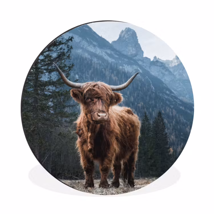 Schotse hooglander - Berg - Landschap - Bomen - Koe - Natuur Wandcirkel aluminium klein -3d