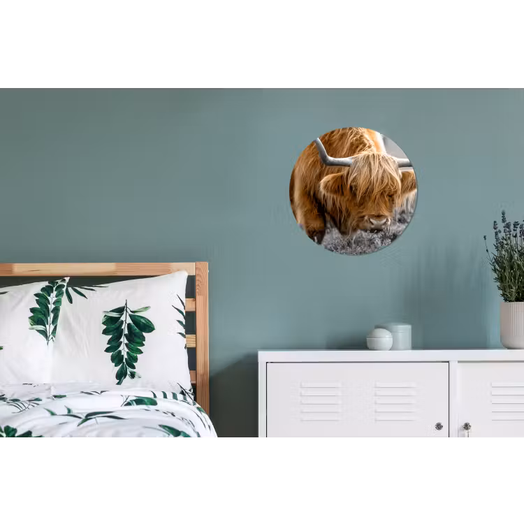 Schotse Hooglander - Dieren - Bruin - Koe - Zwart - Wit - Natuur Wandcirkel aluminium klein -slaapkamer