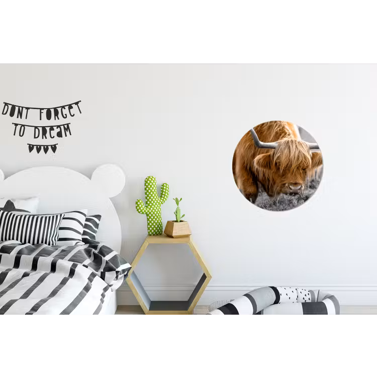 Schotse Hooglander - Dieren - Bruin - Koe - Zwart - Wit - Natuur Wandcirkel aluminium klein -kinderkamer