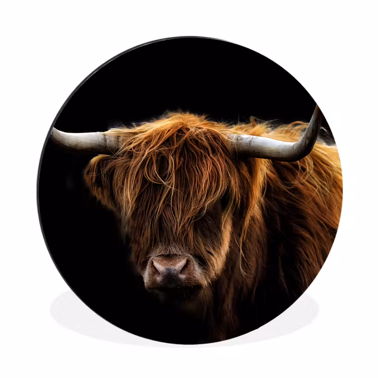 Schotse Hooglander - Horens - Zwart - Dieren - Natuur - Wild - Koe Wandcirkel aluminium klein -3d