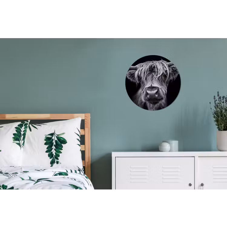 Schotse Hooglander - Horens - Zwart - Wit - Koe - Wild - Dieren Wandcirkel aluminium klein -slaapkamer