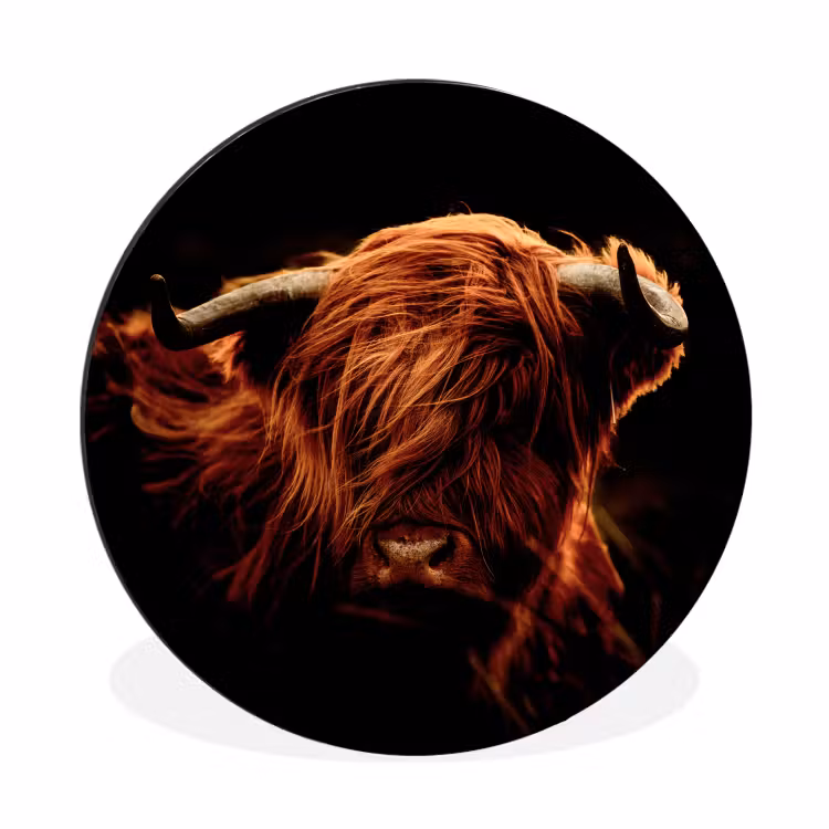 Schotse hooglander - Koe - Hoorns - Portret - Dieren Wandcirkel aluminium klein -3d