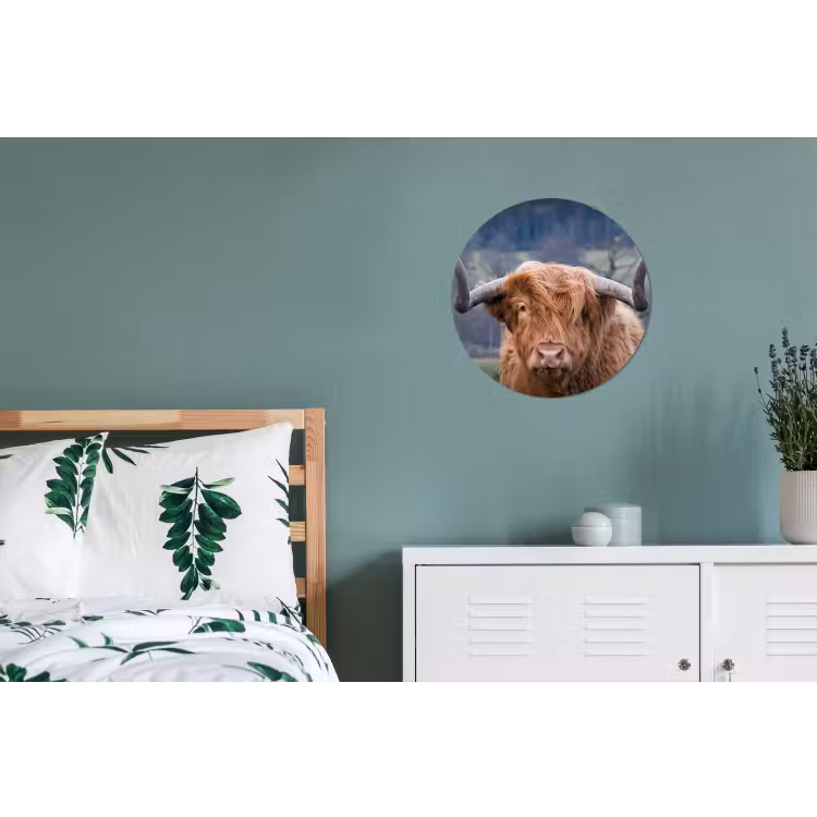 Schotse Hooglander - Koeienkop - Landschap - Natuur - Koe Wandcirkel aluminium klein -slaapkamer