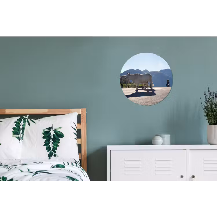 Schotse hooglander - Licht - Berg - Natuur Wandcirkel aluminium klein -slaapkamer