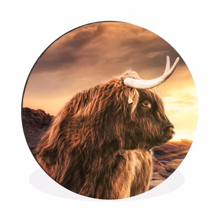Schotse hooglander - Zon - Horizon - Koe - Dieren Wandcirkel aluminium klein -3d